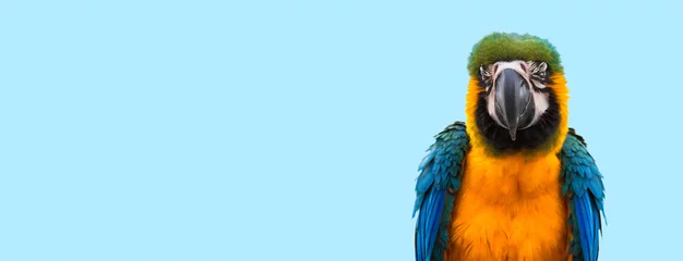 Stoff pro Meter Blauer Ara Papagei © Peera