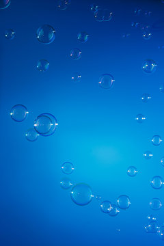 Soap bubbles  float on blue background