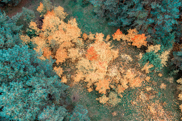 Autumn has come to the city