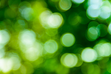 Abstract and defocused bokeh background. Ecological concept
