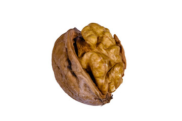 One walnut isolated on the white background