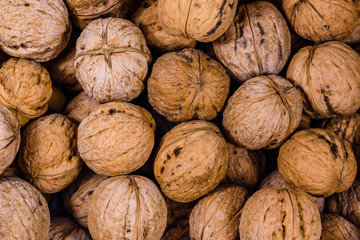 Heap of many walnuts for the background