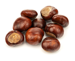 autumn ripe chestnuts isolated on white background