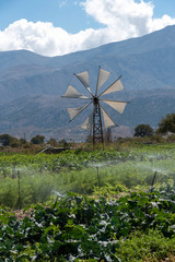 Lasithi Plateau, Eastern Crete, Greece. September 2019. Salad crops being sprayed with water in this scenic location surrounded by the Dikti range of mountains.