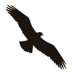 Eagle Silhouette