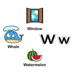 Fototapeta premium Alphabet Letter W-watermelon,whale,window vector illustration