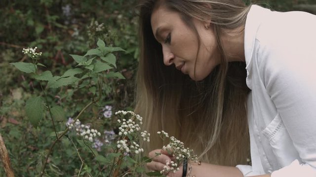 Tight shot young female ecology botany scientist examines wildflowers in nature natural environment