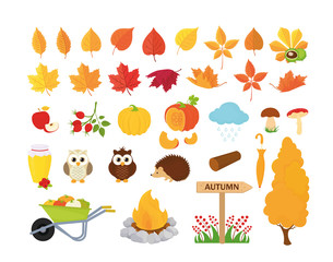 Fall season. Set of cute autumn cartoon animals, plants and food