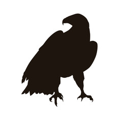Eagle Silhouette