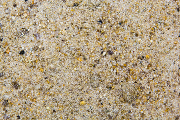 Composition on the theme of travel with sand on a white background