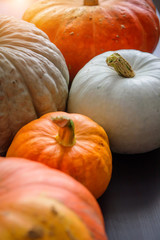 Diverse assortment of pumpkins, close up. Thanksgiving day, autumn harvest. Healthy vegetarian food.