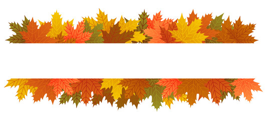 Naklejka na ściany i meble Autumn leaves banner, copy space, maple leaf