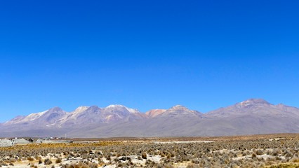 Altiplano et Volcans, Cordillère des Andes, Pérou