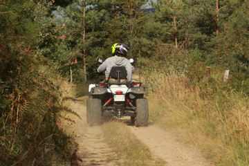 Quad dans un chemin