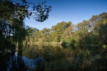 Fototapeta na wymiar Morgensonne Teich