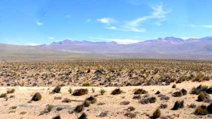 Altiplano et Volcans, Cordillère des Andes, Pérou