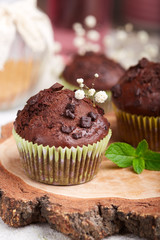 Chocolate Muffins with pieces of chocolate. Delicious homemade sweet dessert. Coffee break