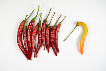 Bunch of red chillies and a yellow one