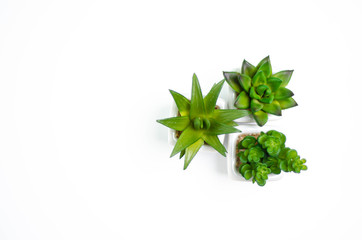 Conceptual object on the floor.