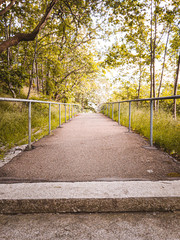 Autumn foot path through park during in Gothenburg,Sweden