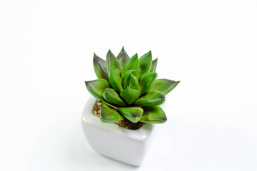 Conceptual object on the floor.