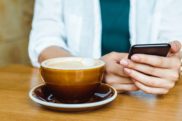 Close up of woman hands holding mobile phone with blank copy space screen, female reading news on cell telephone during rest in coffee shop. Blogger and business content 