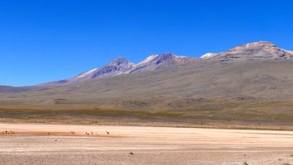 Altiplano et Volcans, Cordillère des Andes, Pérou