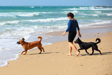 Mature Woman  playing with her dogs on the beach