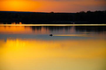 Naklejka premium sunset on the lake and the boatman swims