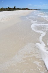 Waves on the sandy beach