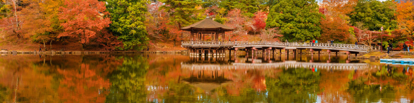 Scenic view of Nara public park in autumn, with maple leaves, pond and old oriental pavilion reflected in the water