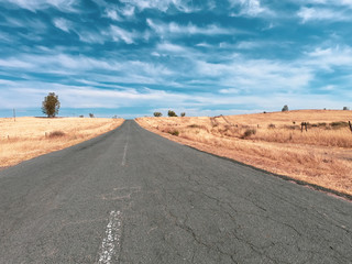 Fototapeta na wymiar asphalt road in a dry countryside with blue sky in background