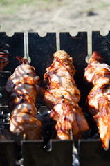 barbecue on the lake on skewers and barbecue with coals and smoke