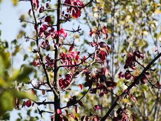 Herbst Impressionen
