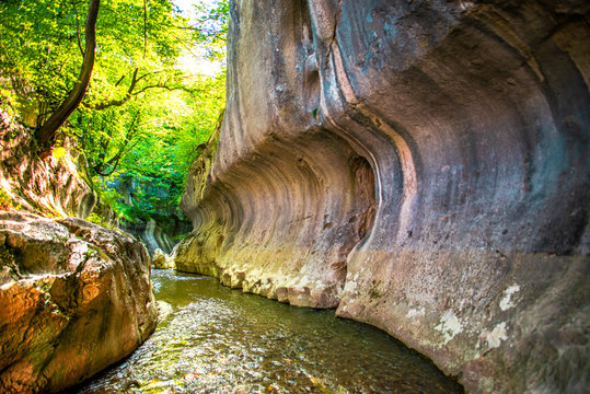 Gorge in the Carpathian Mountains, Banita , Romania