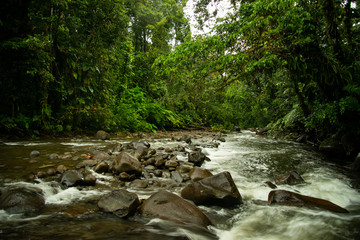 Rivière cascade aux écrevisses Basse Terre Guadeloupe France