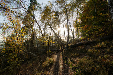 Autumn scenery at Saxon Switzerland