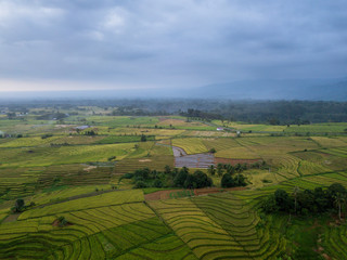 indonesia travel destination, aerial view of earth. amazing paddy fields in asia