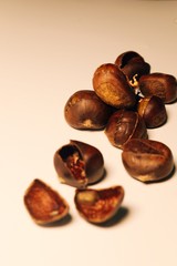 Miniature people with chestnuts on white background