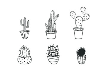 Fototapeta premium cactus in pots. eps10 vector illustration. art line. hand drawing