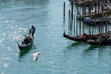 Venezia - Vista dal ponte di rialto