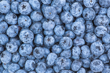Fresh Blueberry Background. Texture blueberry berries close up. Various fresh summer berries. Blue...