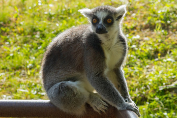 Una giornata al Parco