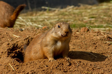 Una giornata al Parco