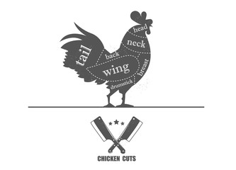 Fototapeta na wymiar Cut of meat set. Poster Butcher diagram, scheme and guide - Chicken. 
