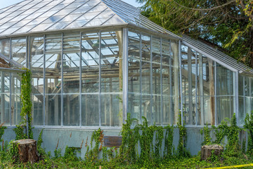 Old Green House 2