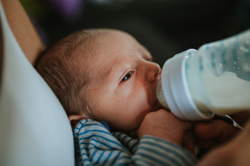 Closeup portrait of 1 month old baby eating milk from bottle