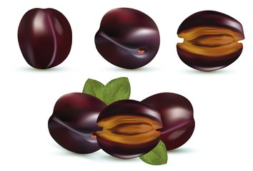 3D realistic plum. Collection icon fruits isolated on white background.Vector illustration.