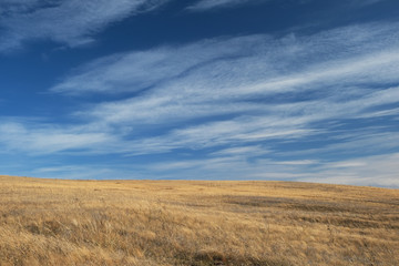 Fototapeta na wymiar autumn steppe and blue sky with cloudy clouds