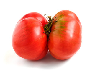 red organic ugly tomato on white background